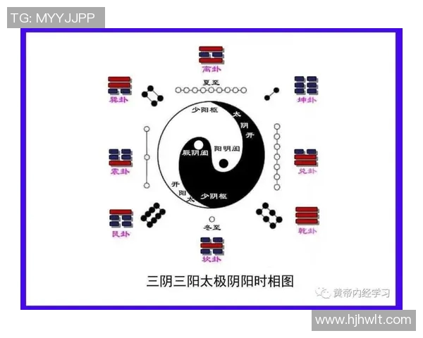 刘邦与足球明星的关系探讨及其在体育界的影响分析 刘邦与足球明星的关系探讨及其在体育界的影响分析