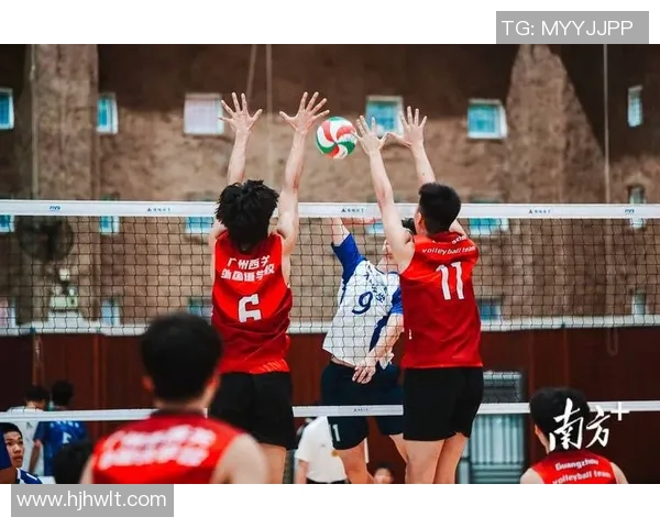 广州排球队个人能力排行榜揭晓排名第九引发热议 广州排球队个人能力排行榜揭晓排名第九引发热议