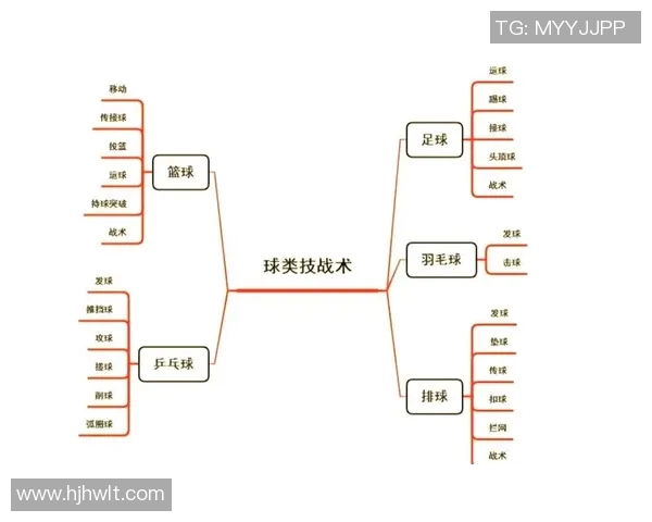 排球新手必看：全面解析技术要点与实用技巧的入门指南